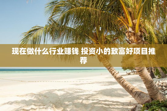 现在做什么行业赚钱 投资小的致富好项目推荐