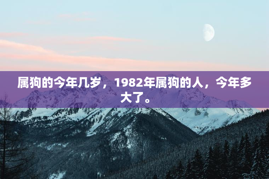 属狗的今年几岁，1982年属狗的人，今年多大了。