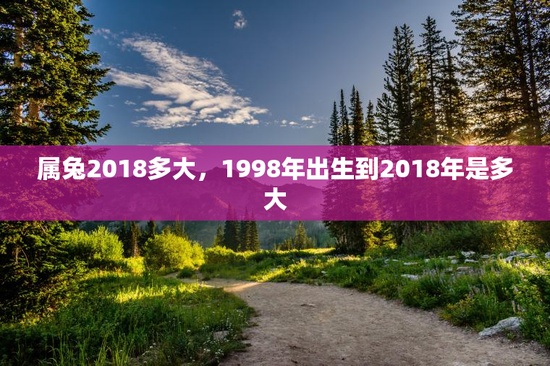 属兔2018多大，1998年出生到2018年是多大
