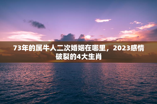 73年的属牛人二次婚姻在哪里，2023感情破裂的4大生肖