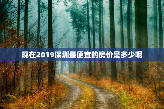 现在2019深圳最便宜的房价是多少呢