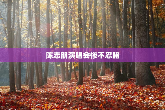 陈志朋演唱会惨不忍睹