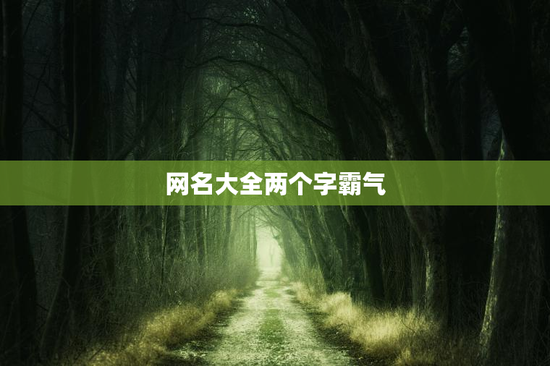 网名大全两个字霸气