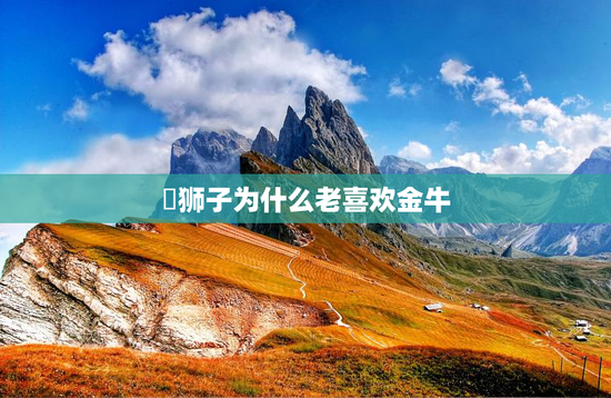 ​狮子为什么老喜欢金牛