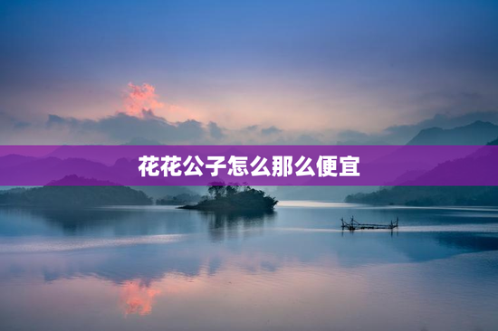 花花公子怎么那么便宜