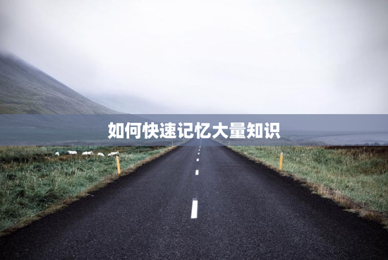 如何快速记忆大量知识