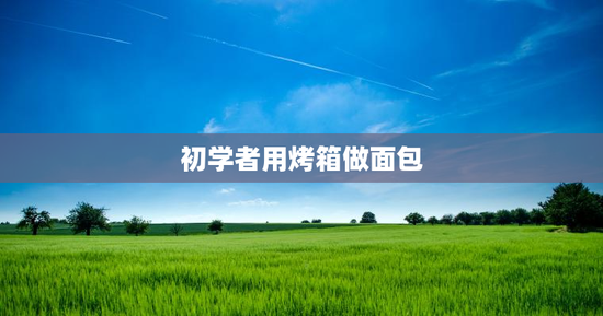 初学者用烤箱做面包