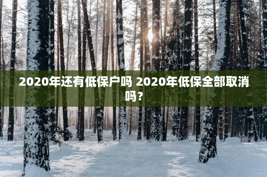 2020年还有低保户吗 2020年低保全部取消吗？