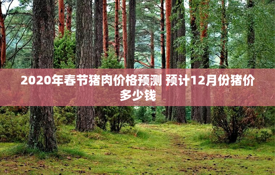 2020年春节猪肉价格预测 预计12月份猪价多少钱