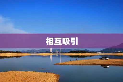 相互吸引