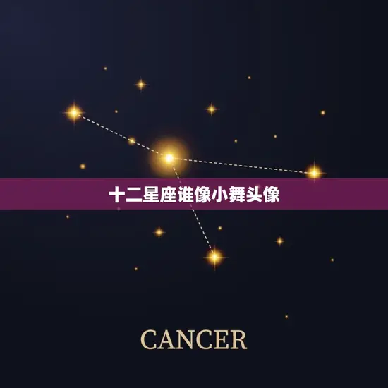 十二星座谁像小舞头像