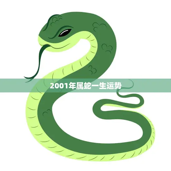 2001年属蛇一生运势(蛇行天下财运亨通)