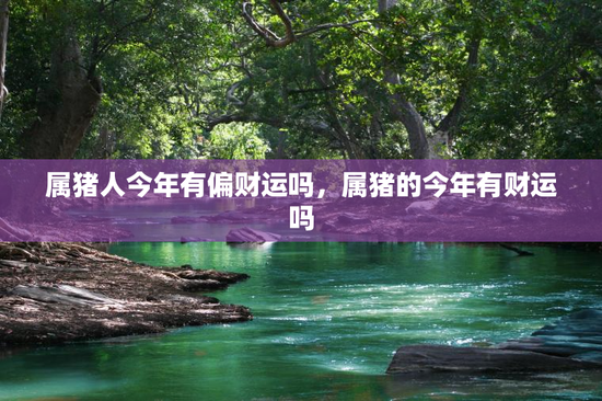属猪人今年有偏财运吗，属猪的今年有财运吗