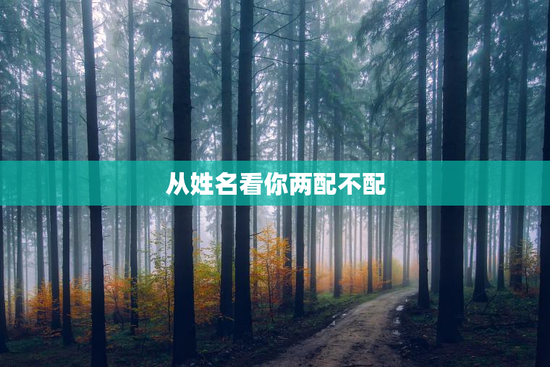 从姓名看你两配不配
