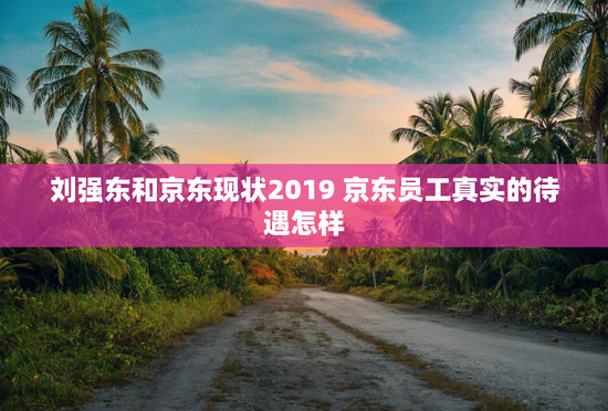 刘强东和京东现状2019 京东员工真实的待遇怎样