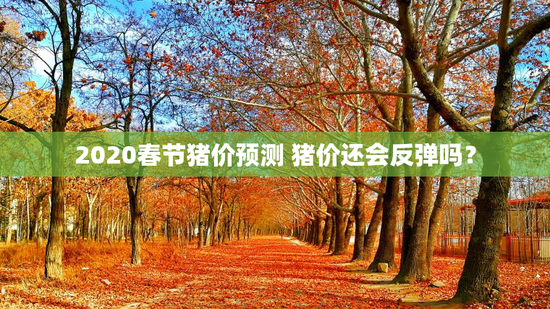 2020春节猪价预测 猪价还会反弹吗？