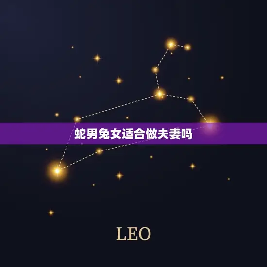 蛇男兔女适合做夫妻吗