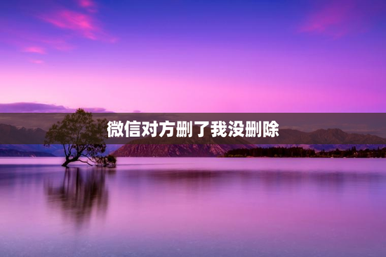 微信对方删了我没删除