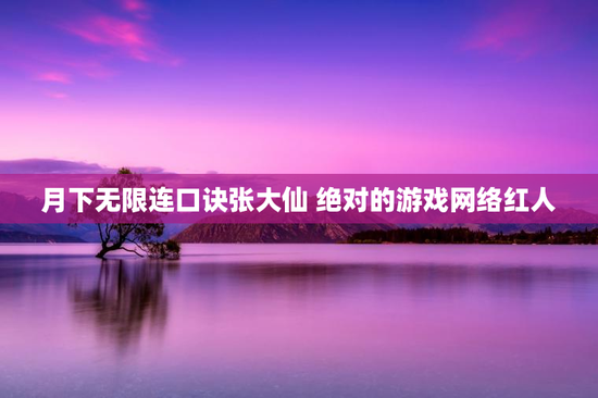 月下无限连口诀张大仙 绝对的游戏网络红人