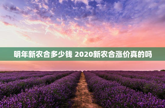 明年新农合多少钱 2020新农合涨价真的吗