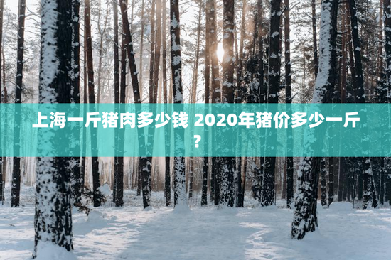上海一斤猪肉多少钱 2020年猪价多少一斤？