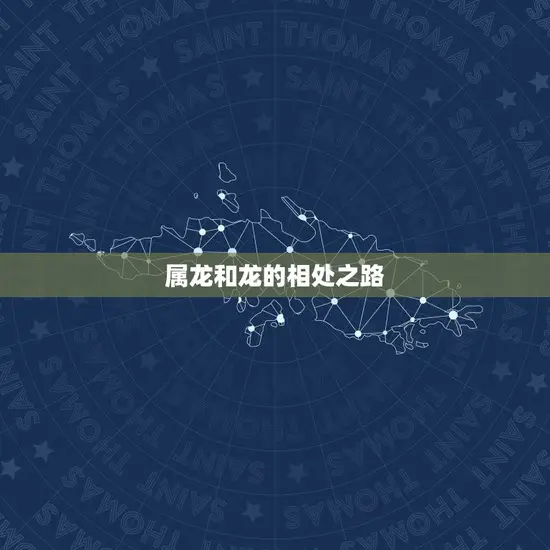 属龙和龙的相处之路