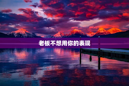 老板不想用你的表现