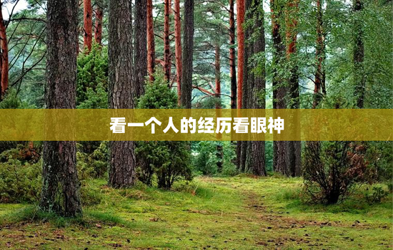 看一个人的经历看眼神
