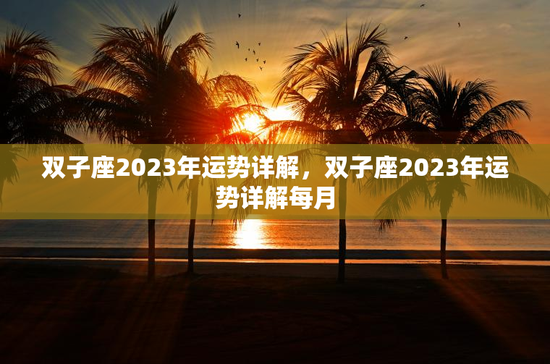 双子座2023年运势详解，双子座2023年运势详解每月