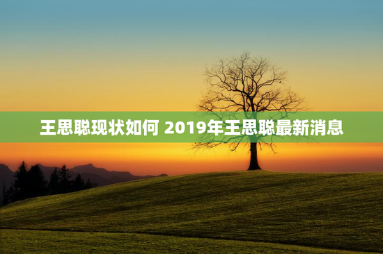 王思聪现状如何 2019年王思聪最新消息
