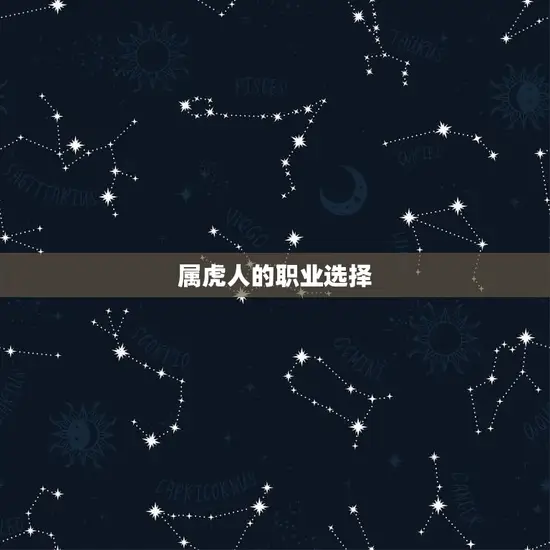 属虎人的职业选择