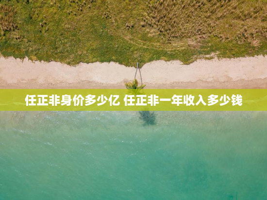 任正非身价多少亿 任正非一年收入多少钱