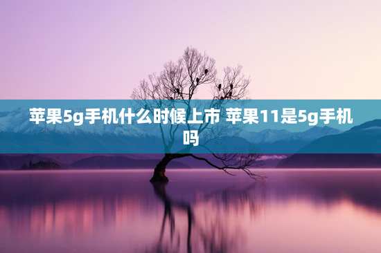 苹果5g手机什么时候上市 苹果11是5g手机吗
