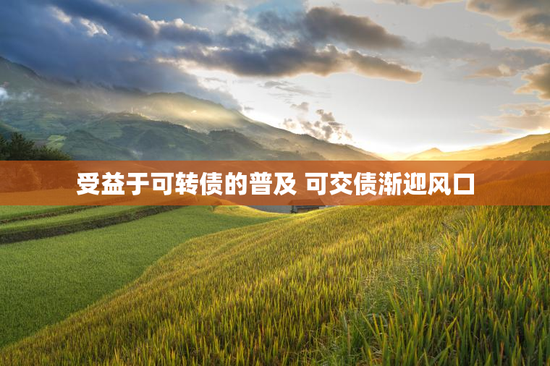 受益于可转债的普及 可交债渐迎风口