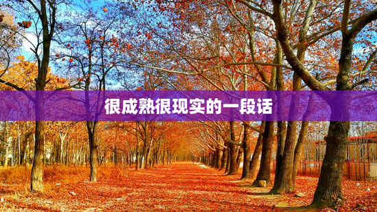 很成熟很现实的一段话