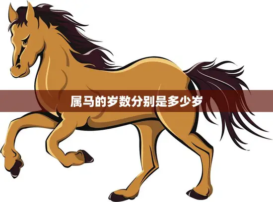 属马的岁数分别是多少岁(马年生肖年龄表)