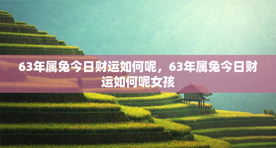 63年属兔今日财运如何呢，63年属兔今日财运如何呢女孩