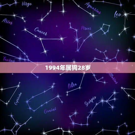 1994年属狗28岁