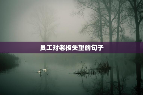 员工对老板失望的句子