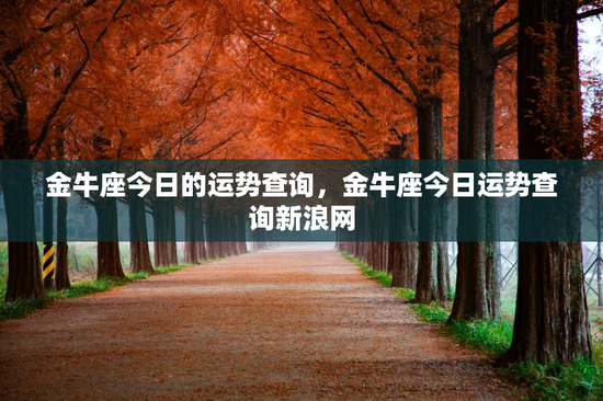 金牛座今日的运势查询，金牛座今日运势查询新浪网