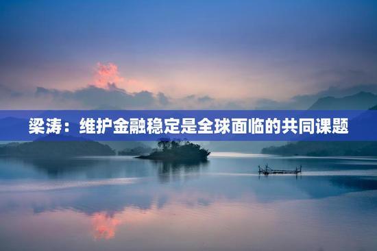 梁涛：维护金融稳定是全球面临的共同课题