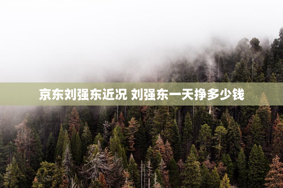 京东刘强东近况 刘强东一天挣多少钱