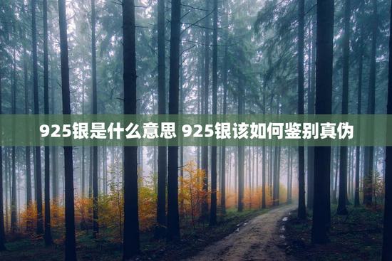 925银是什么意思 925银该如何鉴别真伪