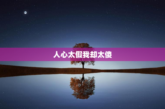 人心太假我却太傻