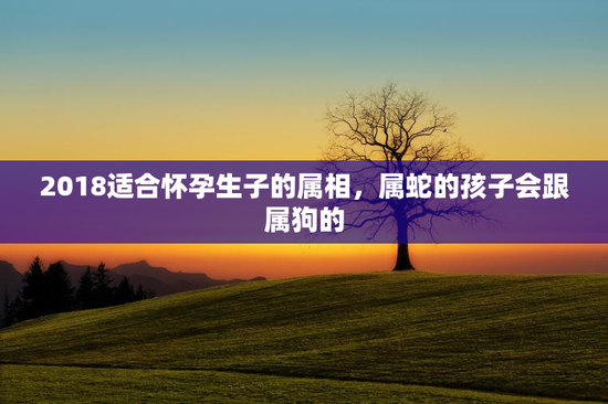 2018适合怀孕生子的属相，属蛇的孩子会跟属狗的