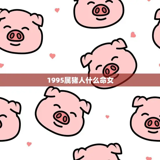 1995属猪人什么命女(命运如何)