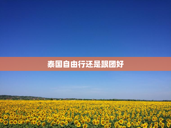 泰国自由行还是跟团好