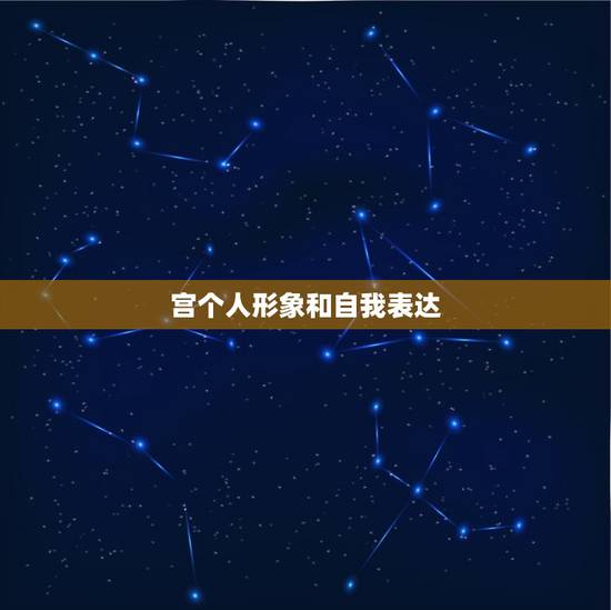 宫个人形象和自我表达