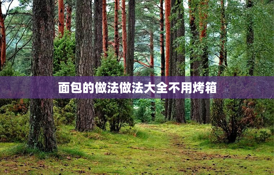 面包的做法做法大全不用烤箱