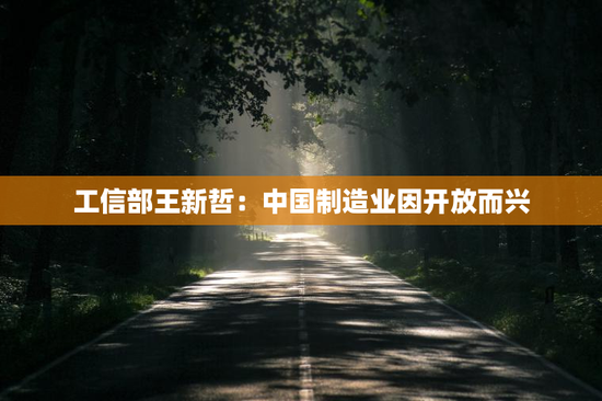 工信部王新哲：中国制造业因开放而兴